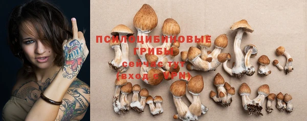 амф Беломорск