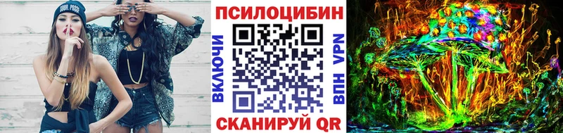 где купить наркоту  Дмитровск  Галлюциногенные грибы Psilocybine cubensis 