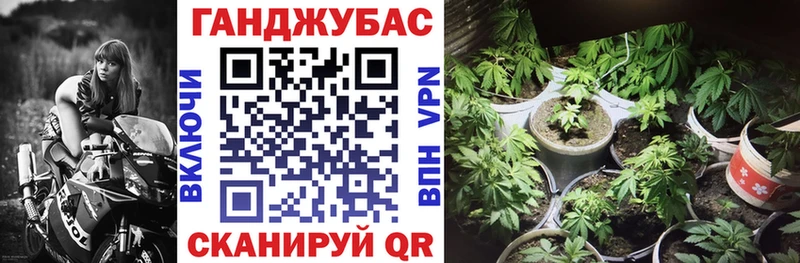 наркотики  Дмитровск  МАРИХУАНА план 